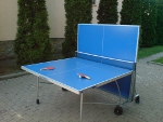 Pingpong